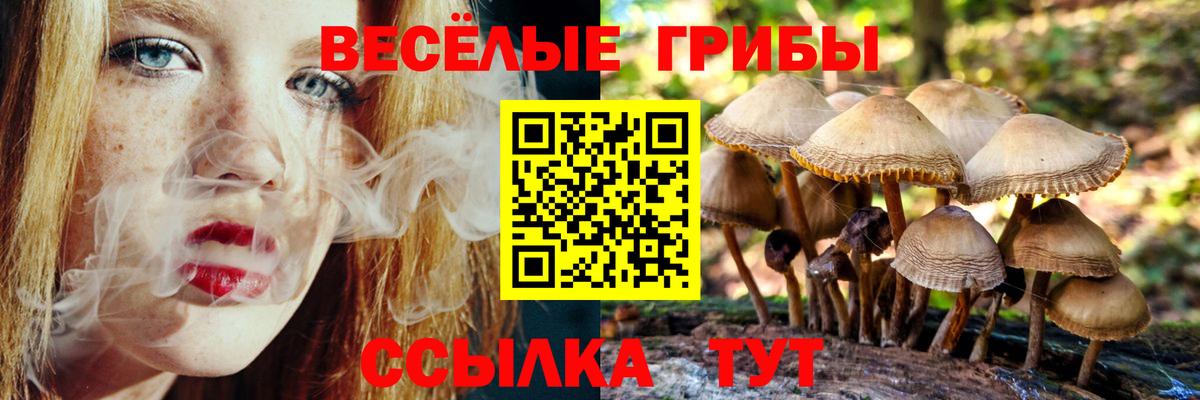 Псилоцибиновые грибы Magic Shrooms  Вход с VPN  Еманжелинск  Псилоцибиновые грибы Cubensis 